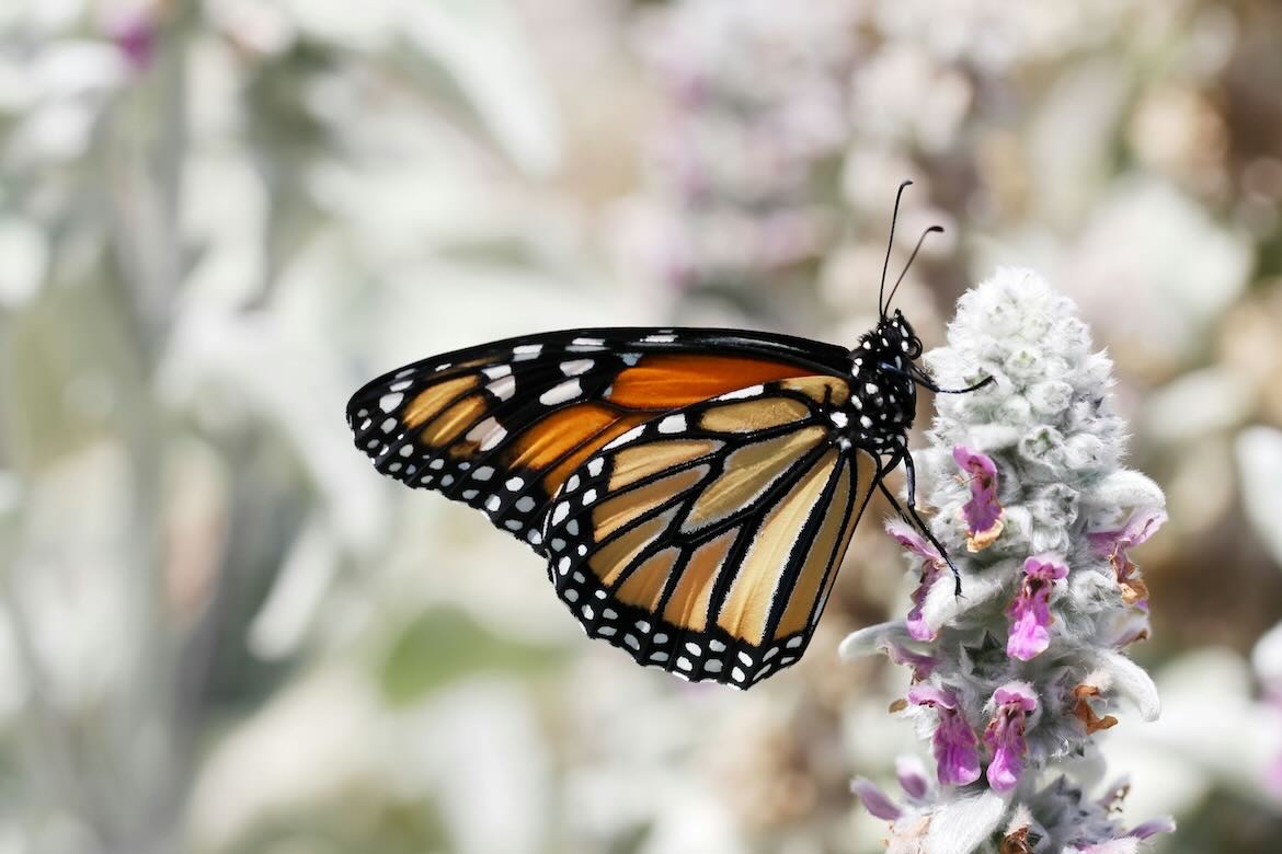 Transitioning? Rely on Your Transformation Statement